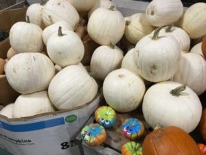 white-pumpkins